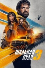 Шальная пуля 3