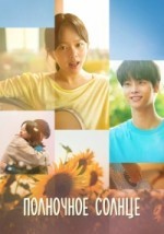 Полночное солнце